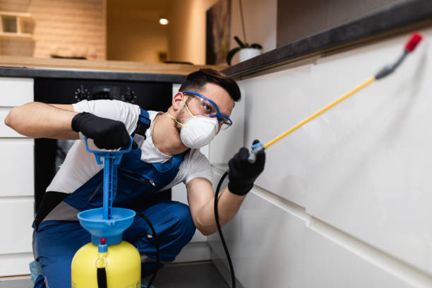 Best Affordable Pest Control Services  in Camp Hill, PA