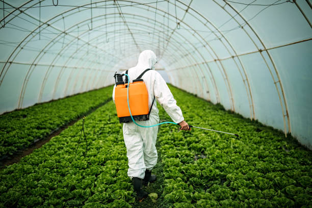 Professional Pest Control in Camp Hill, PA