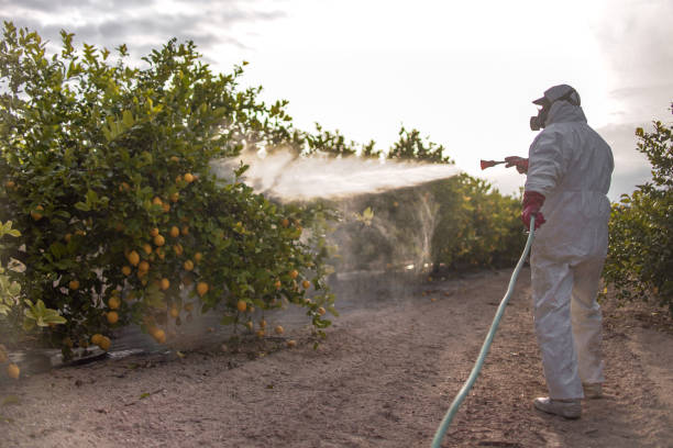 Best Wasp Removal Services  in Camp Hill, PA