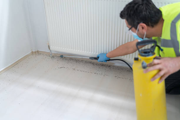 Best Best Pest Control Companies  in Camp Hill, PA