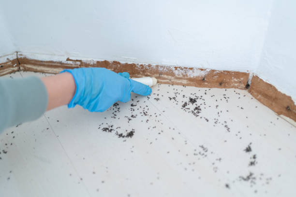 Best Pest Prevention Services  in Camp Hill, PA